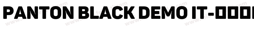 Panton Black Demo It字体转换